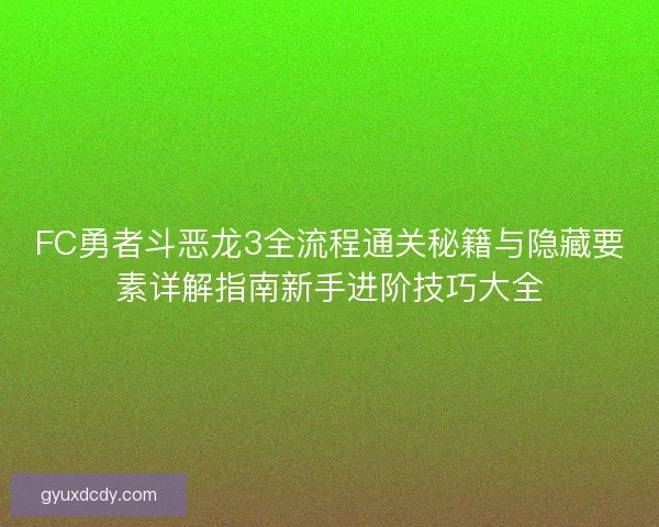 FC勇者斗恶龙3全流程通关秘籍与隐藏要素详解指南新手进阶技巧大全