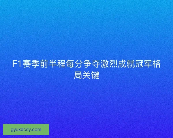 F1赛季前半程每分争夺激烈成就冠军格局关键 F1赛季前半程每分争夺激烈成就冠军格局关键